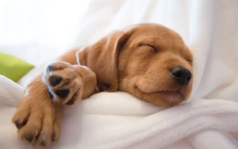 how to sleep better - sleep hacks for the perfect night's sleep