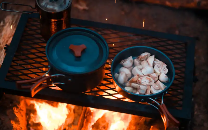 https://thislife.blog/wp-content/uploads/2023/05/best-campfire-cooking-kit.webp